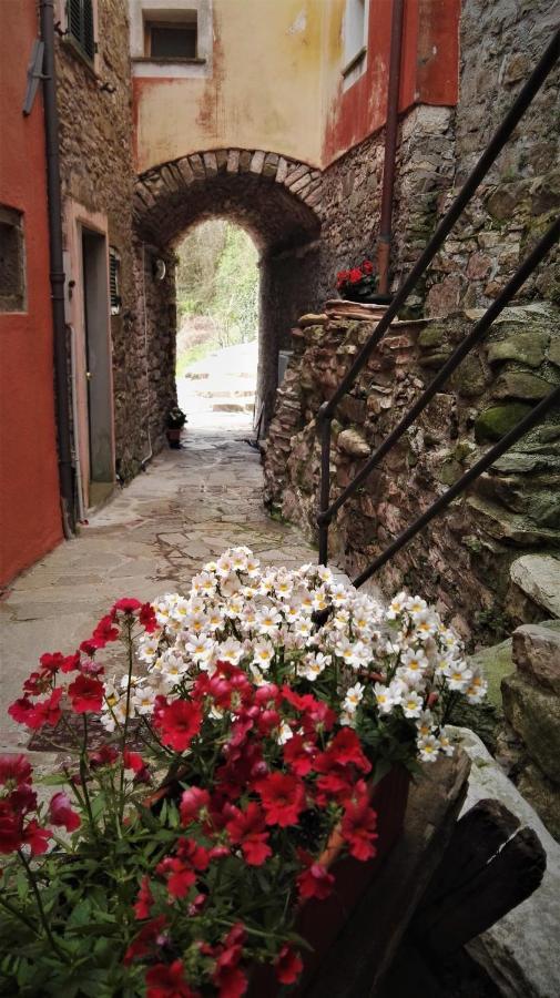 Borgo Di Codeglia - Country Rooms Riccò del Golfo di Spezia Exterior foto